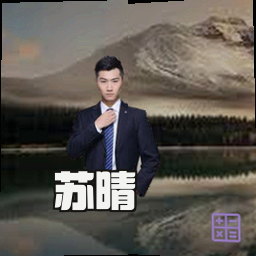 苏晴