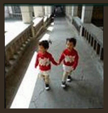 陈雪